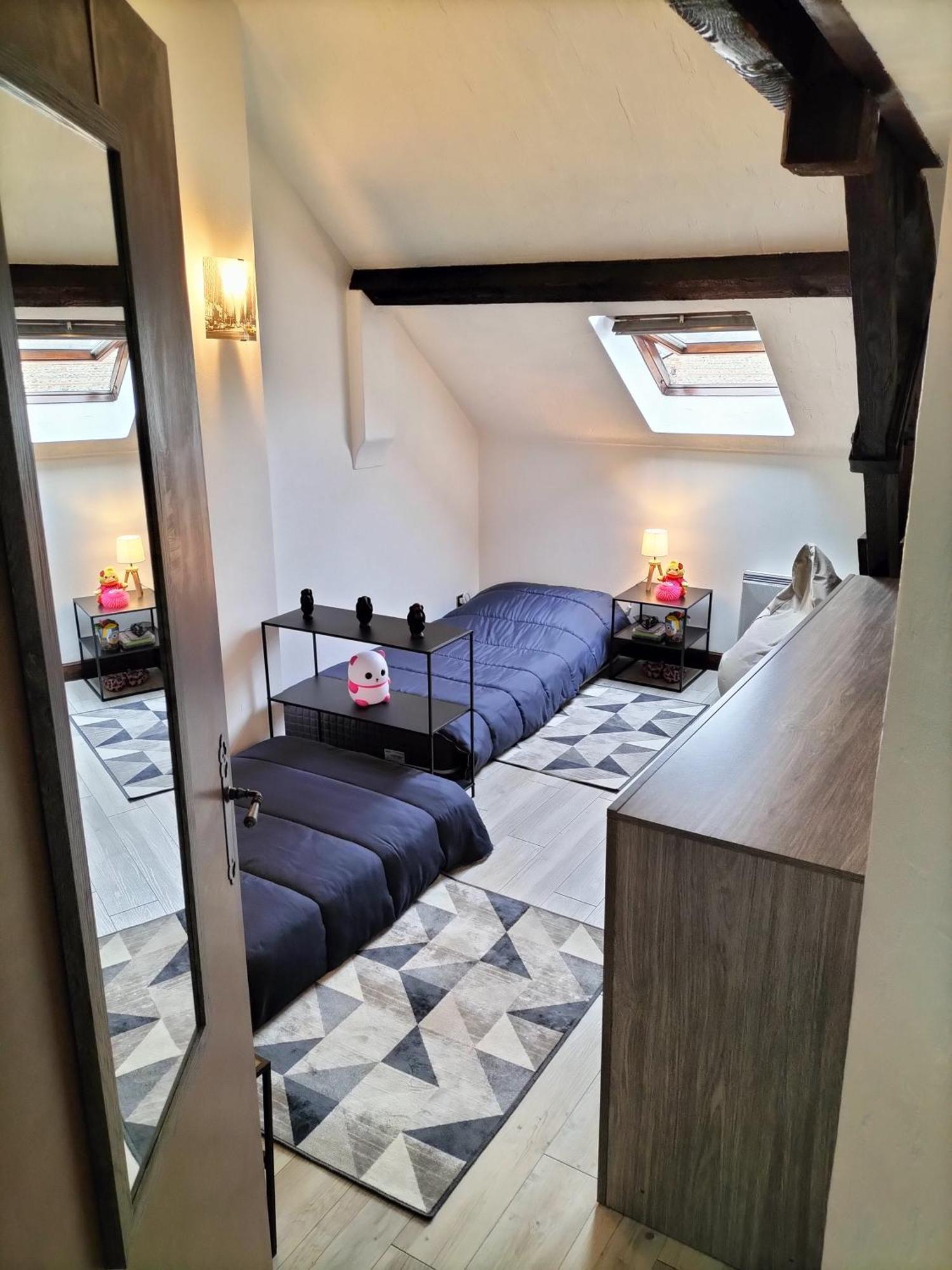 Dans Loft Partage, Cosy Et Spacieux! * Tarbes